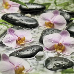 4-318 Фотообои KOMAR "Велнес" 254смх1,84м бумажные