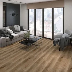 Ламинат Kronostar Биом / Biom D50677 Дуб Лоуссон