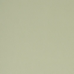 Обои NC Color 4060-200