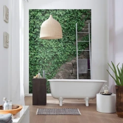 4-324 Фотообои KOMAR "Вьюны" 184х254 см бумажные