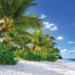 8-992 Фотообои KOMAR &quot;Остров Реюньон&quot; 368х254 см бумажные