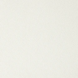 4025-010 Обои Antivandal NC