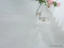 Ламинат Lamiwood Select 1211 Дуб Белый на Otdelka1.ru