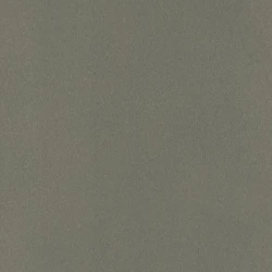 Обои Rasch Club 418668