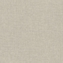 Обои Rasch Jolly 970517