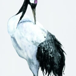 Обои 34594 Marburg Otaru