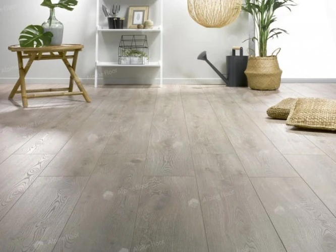 Ламинат Homflor Distingo 536 Long Island на Otdelka1.ru