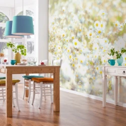 8-994 Фотообои KOMAR &quot;Маргаритки (Daisies&quot;)&quot; 368х254 см бумажные