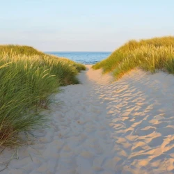 8-995 Фотообои KOMAR &quot;Тропинка в дюнах&quot; 368х254 см бумажные