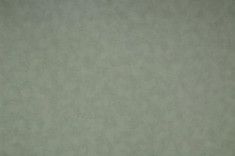 Обои NC Color 4050-030 на otdelka1.ru