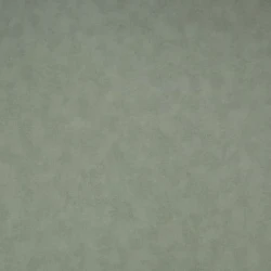 Обои NC Color 4050-030