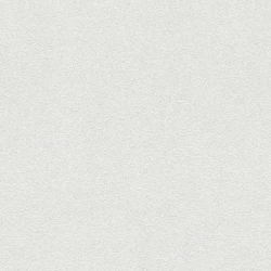 Обои Rasch Wallton 173109