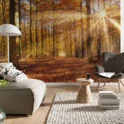 8-997 Фотообои KOMAR &quot;Золотой рассвет&quot; 368х254 см бумажные