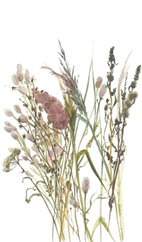 Обои Marburg Boho 35798 на otdelka1.ru