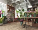 Ламинат Кронопол / Kronopol Terra Platinium Aqua Block D6201 Venice Oak на Otdelka1.ru