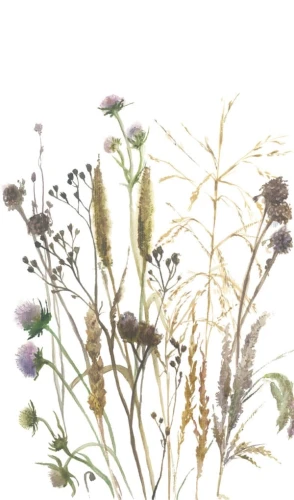 Обои Marburg Boho 35799 на otdelka1.ru