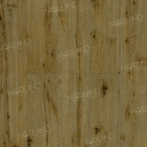 Ламинат Norland Elegant LF302-14 Дуб Скай на otdelka1.ru