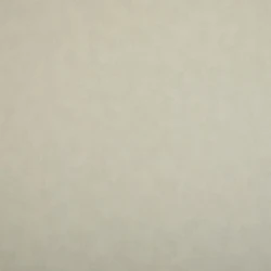 Обои NC Color 4050-070