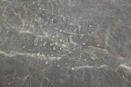 SPC ламинат Icon Floor Marble ML-69 Мрамор Фальконе на otdelka1.ru