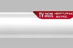 Потолочный плинтус Decomaster 96689