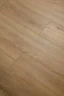 Ламинат Mostfloor Эко плюс 1005 Дуб Сокотра на Otdelka1.ru