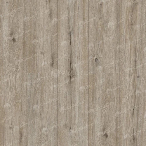 Виниловый Ламинат Альпайн флор Соло / Alpine Floor Solo Eco 14-8 Прэсто на Otdelka1.ru
