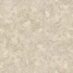 Бытовой линолеум Praktika Nubia 5