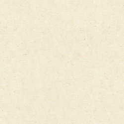 Обои Rasch Concrete XL (GUS) 974218