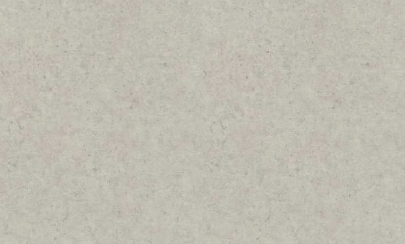 Обои Rasch Concrete XL (GUS) 974225 на Otdelka1.ru