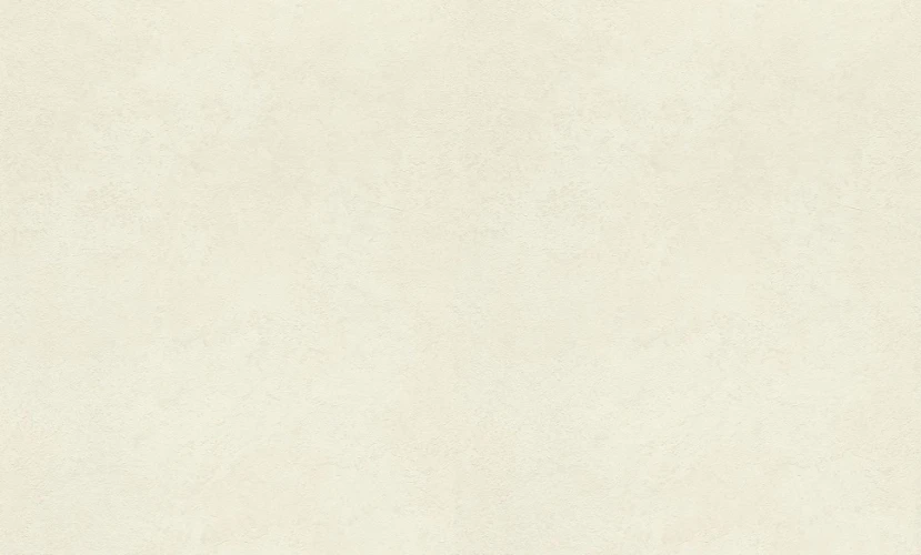 Обои Rasch Metal Spirit 977103 на otdelka1.ru