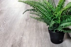 Виниловый ламинат Alpine floor Classic Light Eco 134-55 MC Ясень Серый на Otdelka1.ru