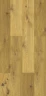Замковая напольная пробка Коркстайл / Corkstyle Wood XL Oak knotty на Otdelka1.ru