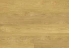 Клеевая напольная пробка Коркстайл / Corkstyle Wood XL Oak deluxe на Otdelka1.ru