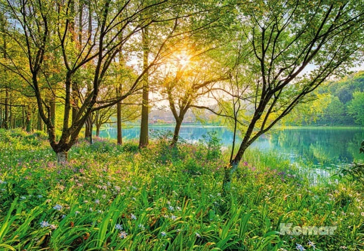 8-524 Фотообои KOMAR "Весеннее озеро" 368х254 см бумажные на otdelka1.ru