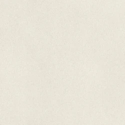 Обои Rasch Fiesta 973006