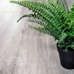 Виниловый Ламинат Альпайн флор / Alpine floor Classic Eco 134-5 Ясень серый