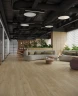 Виниловый Ламинат Альпайн флор / Alpine floor Grand Sequoia ECO 11-508 Камфора на Otdelka1.ru
