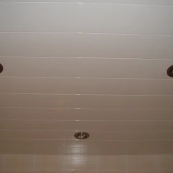 Реечный потолок Цесал / Cesal Рейка C01 100 мм