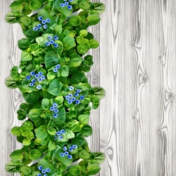 Виниловый ламинат Novita Дизайнерские 3D полы Медуница