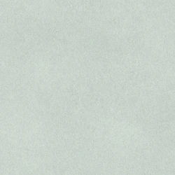 Обои Rasch Fiesta 973037