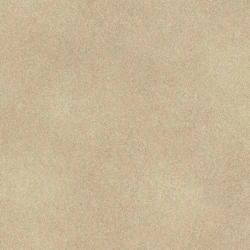 Обои Rasch Fiesta 973044