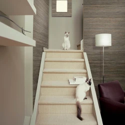 Натуральные обои Cosca Сицилия 0.91 x 10 м