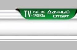 Потолочный плинтус Decomaster DP-2212