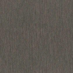 Обои Rasch Metal Spirit 977318