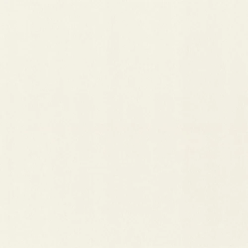Обои Rasch Fresh up 980301 на Otdelka1.ru