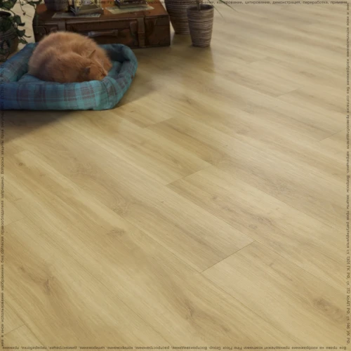 Кварц-виниловый ламинат Fine Floor Wood FF-1521 Дуб Базель на Otdelka1.ru