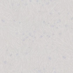 Обои Studio Italia Collection Tesoro TS10022