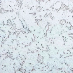 Настенная пробка Иберкорк / Ibercork Сафра