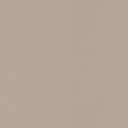 Обои Rasch Lirico 555868