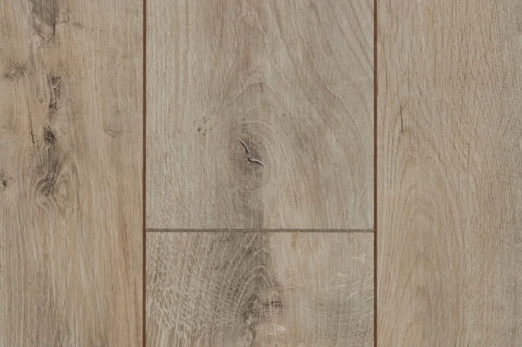 Ламинат Kastamonu Sunfloor Violet FP1121 Дуб Восток на otdelka1.ru